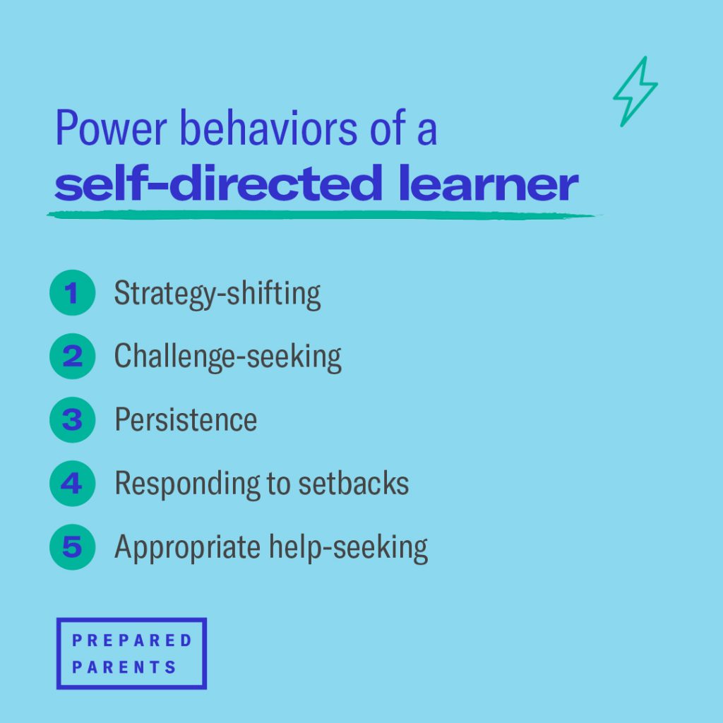 the power behaviors of a self-directed learner are strategy shifting, challenge seeking, persistence, responding to setbacks, and appropriate help-seeking. 