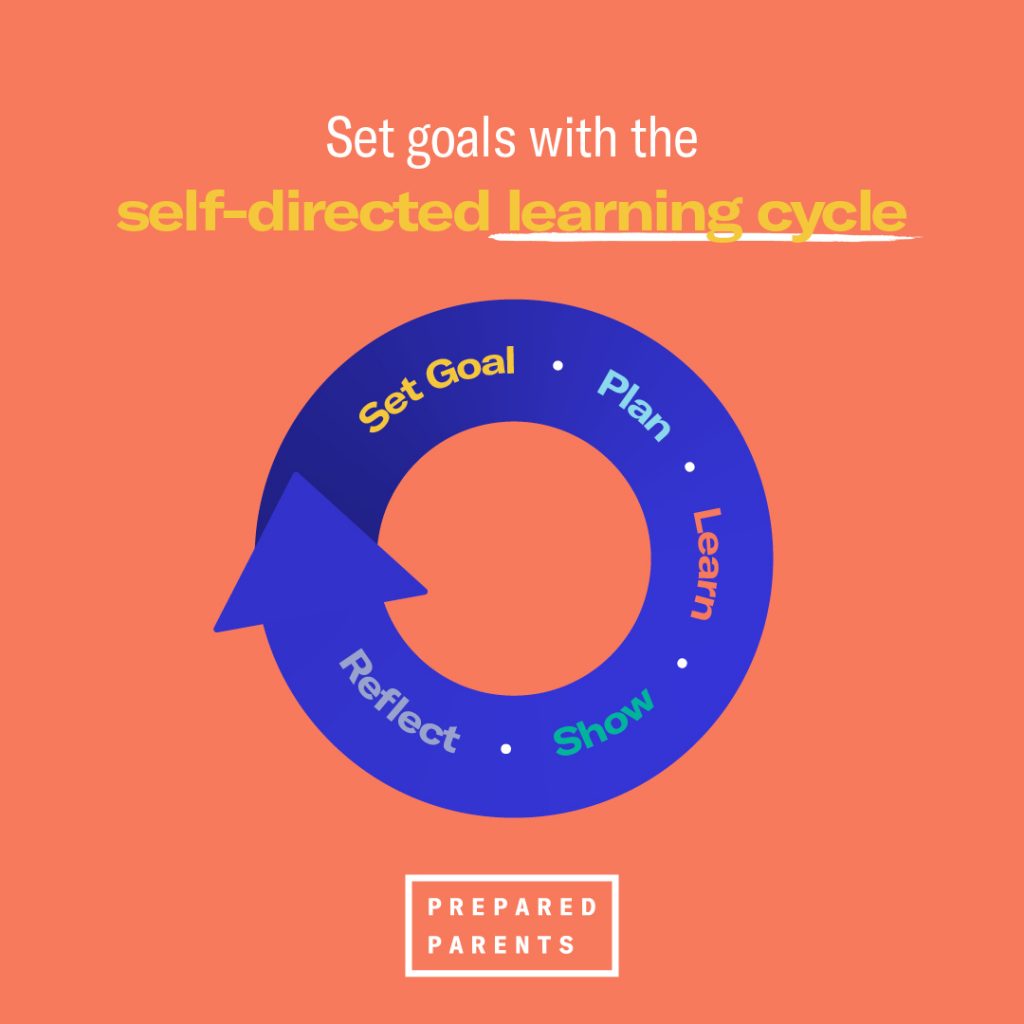 These are the steps to self-direction. Set a goal, make a plan, learn, show what you know and reflect. 