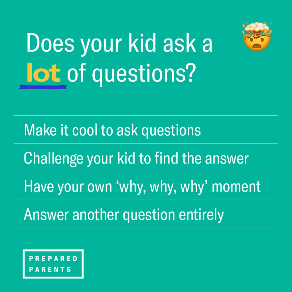 Does your kid ask a lot of questions? Encourage it, challenge your kid to find the answer, have your own questioning moment, answer another question